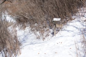 鷹ノ巣山山頂への分岐